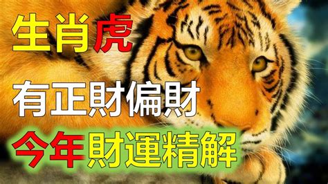 屬狗今日財運方位|屬狗人今日運勢,生肖狗今日運程,屬狗人今日財運,事業運,愛情運